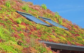 Fisherrow living roof systems
