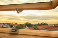 rated Fisherrow roof window companies